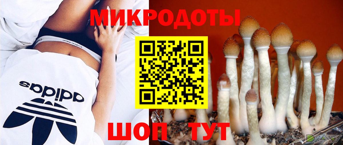 Галлюциногенные грибы Psilocybe  Вход с VPN  Чита 